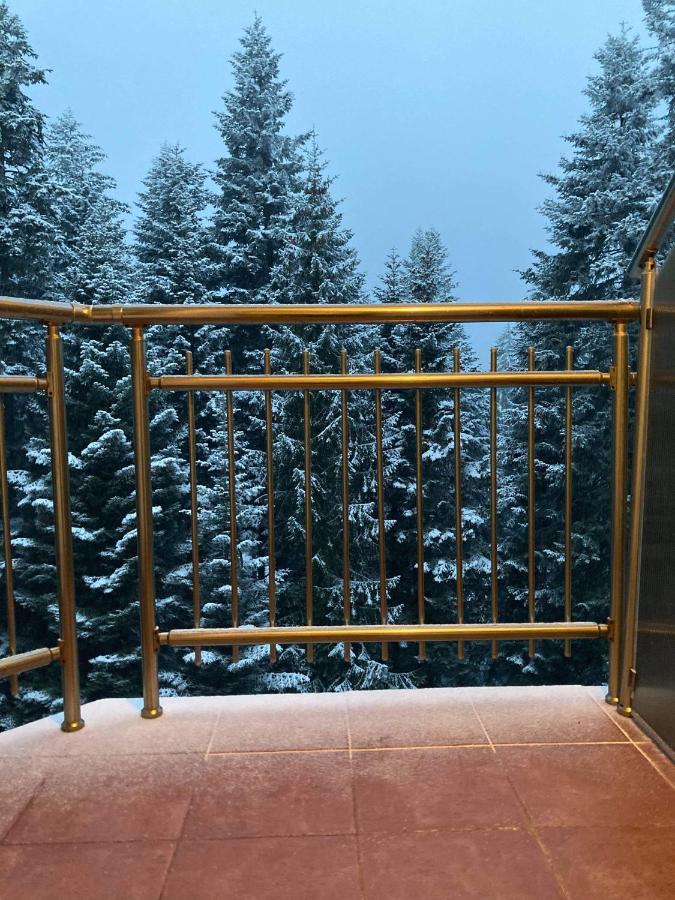 Flora Apartment 613 Borovets Exteriör bild
